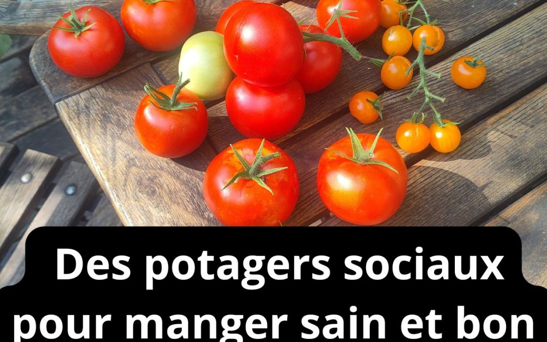 Des potagers sociaux pour manger sain et bon marché