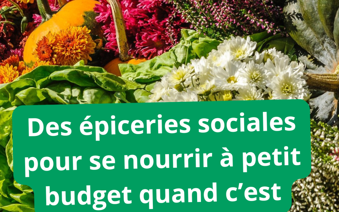 Des épiceries sociales pour se nourrir à petit budget quand c’est difficile